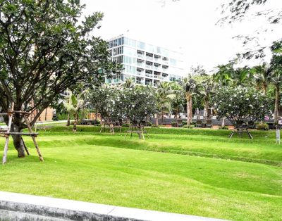 آپارتمان یکخوابه پاتایا طبقه 37